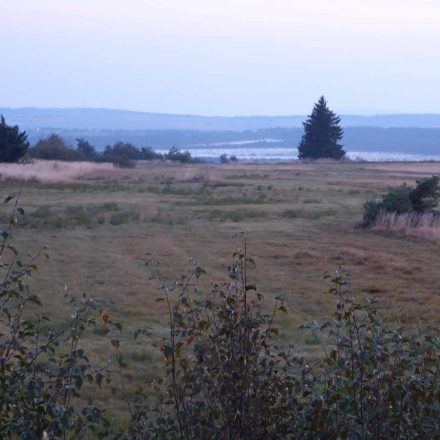 Blick ins Schwarze Moor©Wildland-Stiftung Bayern