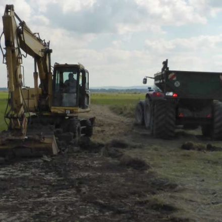 Anlage von Wiesenseigen©Wildland-Stiftung Bayern