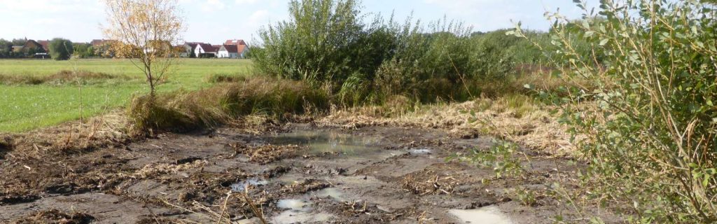 Anlage von Wiesenseigen©Wildland-Stiftung Bayern