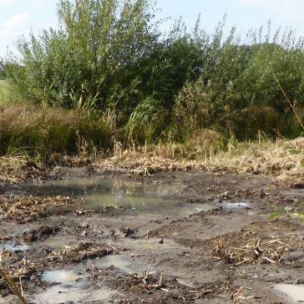 Anlage von Wiesenseigen©Wildland-Stiftung Bayern