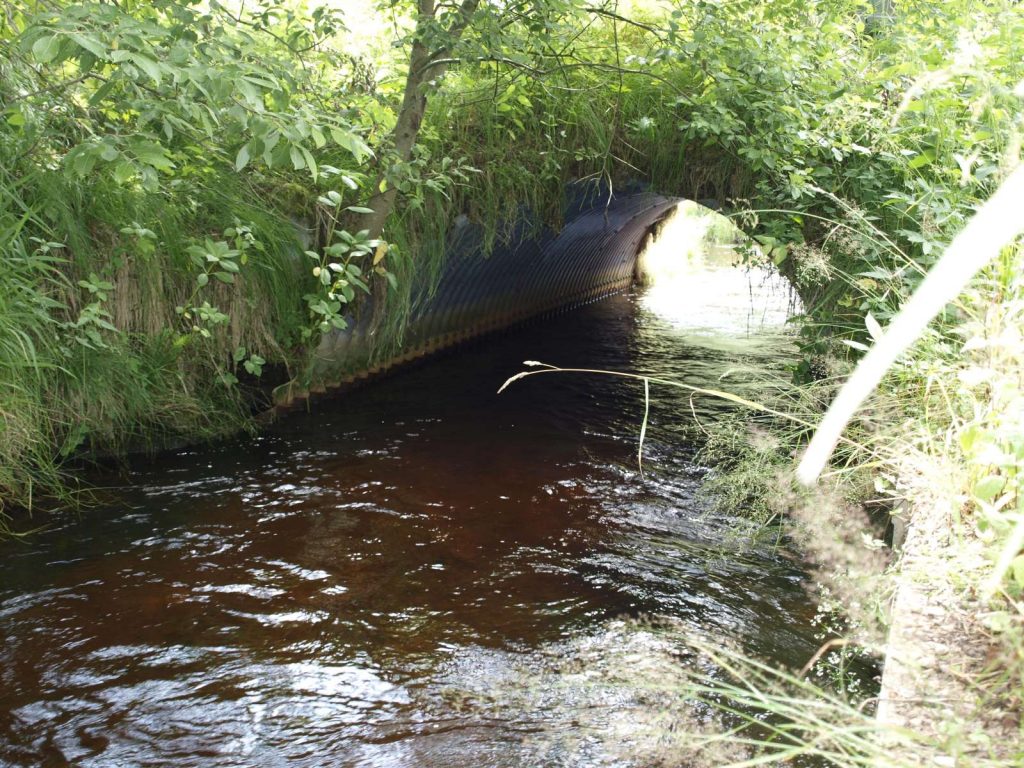 für Fischotter ungeeignetes Brückenbauwerk ohne seitliche Bermen©Wildland-Stiftung Bayern