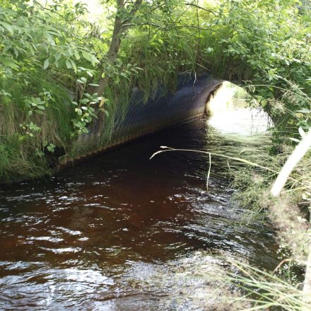 für Fischotter ungeeignetes Brückenbauwerk ohne seitliche Bermen©Wildland-Stiftung Bayern