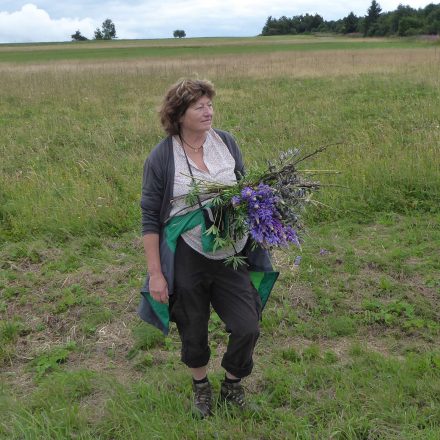 Nacharbeit von Hand: Samenstände der Lupine entfernen©Wildland-Stiftung Bayern