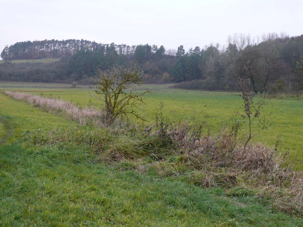 Baunachtal©Wildland-Stiftung Bayern