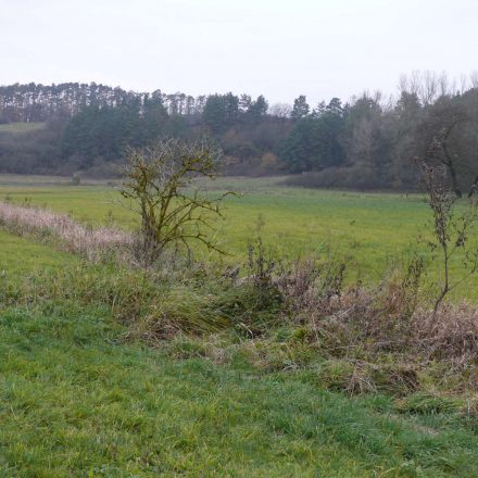 Baunachtal©Wildland-Stiftung Bayern