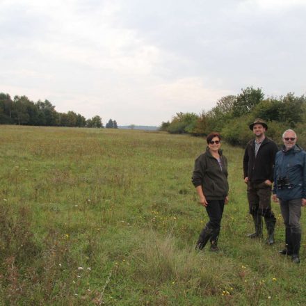 Ortstermin mit Christa Schefczik, Dr. André Maslo und Frank Reißenweber (v.l.)©Wildland-Stiftung Bayern