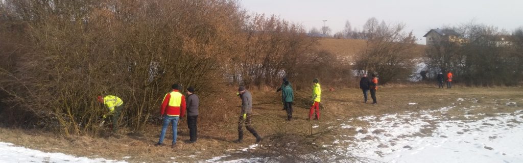 Schüler der Landwirtschaftlichen Berufsschule Passau bei der Heckenpflege©E. Schmatz