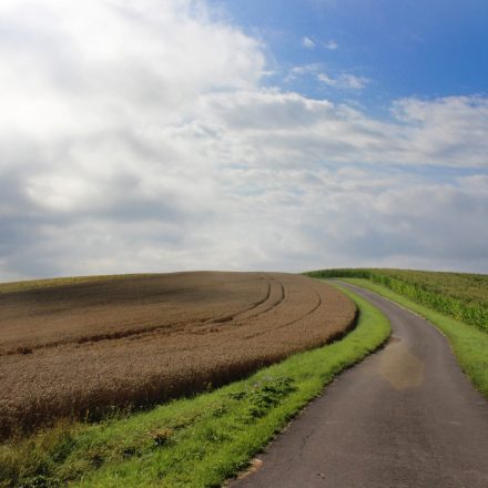 Intensive Landnutzung©Ökol. Bildungsstätte Oberfranken