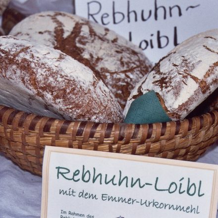 Rebhuhn-Loibl©Büro Landimpuls