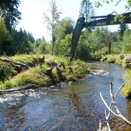 Renaturierung mit schwerem Gerät©C. Schmidt / Nationalparkverwaltung Bayerischer Wald