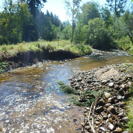 Ufergrundstück der Stiftung©C. Schmidt / Nationalparkverwaltung Bayerischer Wald