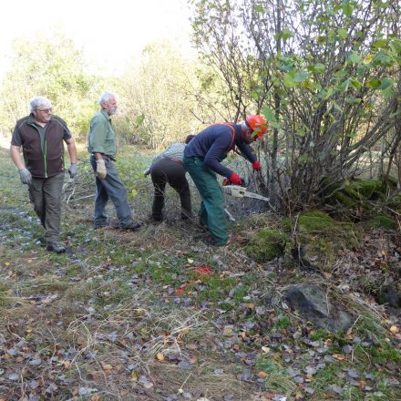 Entbuschung©Wildland-Stiftung Bayern