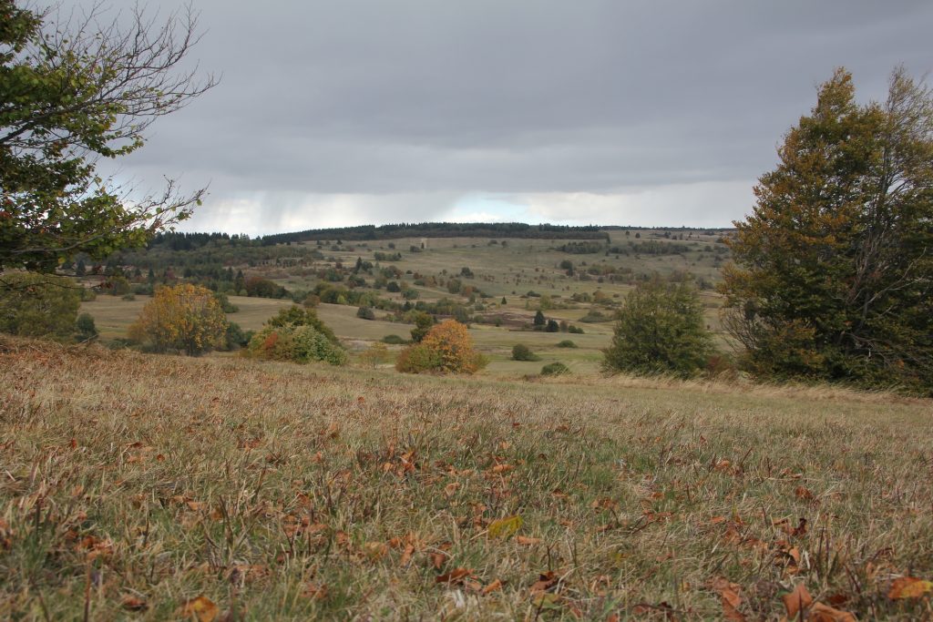 Herbststimmung im Naturschutzgebiet Lange Rhön©T. Kirchner