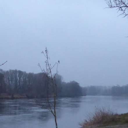 Donautal bei Neustadt©Wildland-Stiftung Bayern