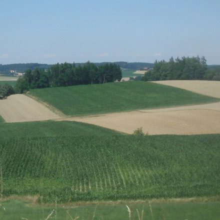 Agrarlandschaft©Wildland-Stiftung Bayern