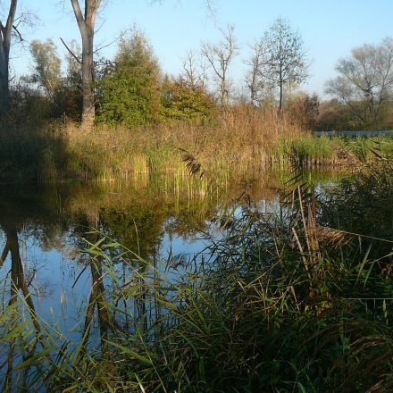 Donauaue bei Irnsing©LPV Kelheim, VöF