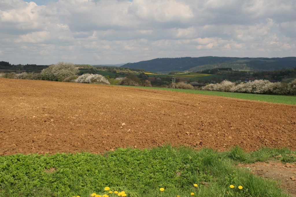 abwechslungsreiche Kulturlandschaft©H-J-Fünfstück_piclease