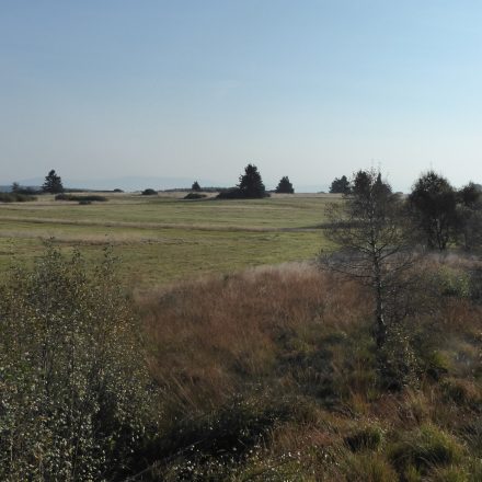 Morgenansitz im Naturschutzgebiet Lange Rhön©Wildland-Stiftung Bayern