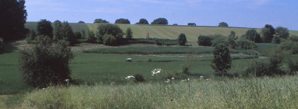 Schlehbachtal©Wildland-Stiftung Bayern