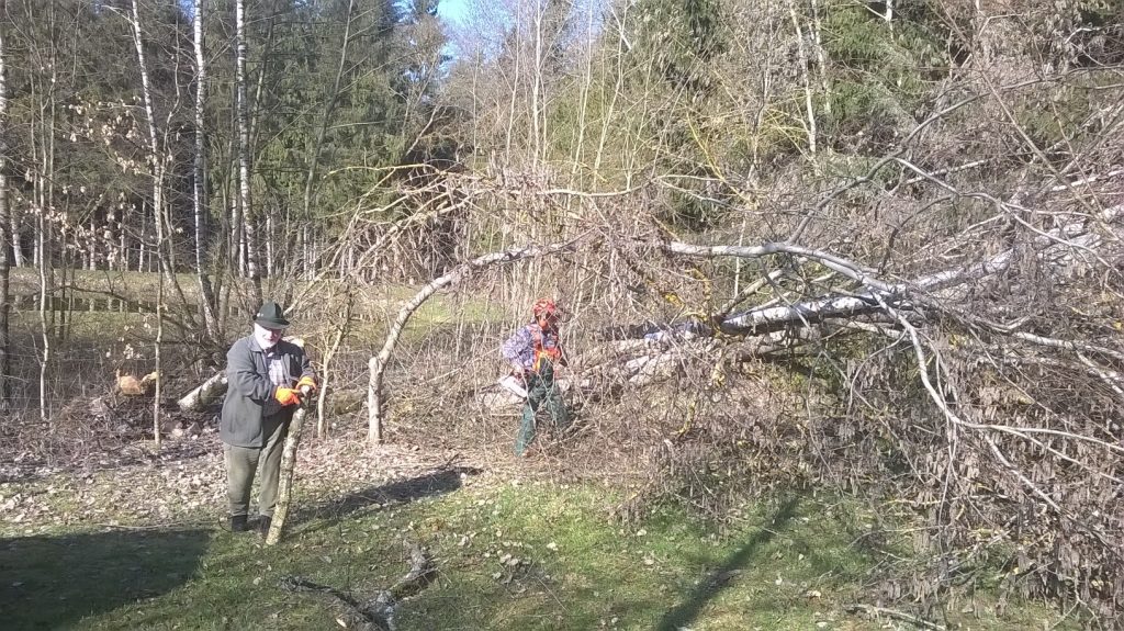 Aufräumarbeiten der Sturmschäden©G. Fröhlich