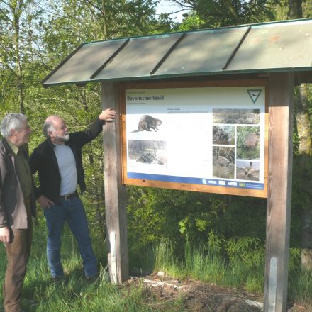 Norbert Ranzinger und Alois Hofmann begutachten die neue Biber-Infotafel©M. Müller