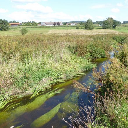 neue Biotopfläche - Ufergrundstück an der Ascha©Wildland-Stiftung Bayern