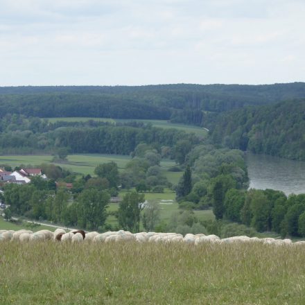 Donautal mit flussbegleitender Aue©VöF Kelheim